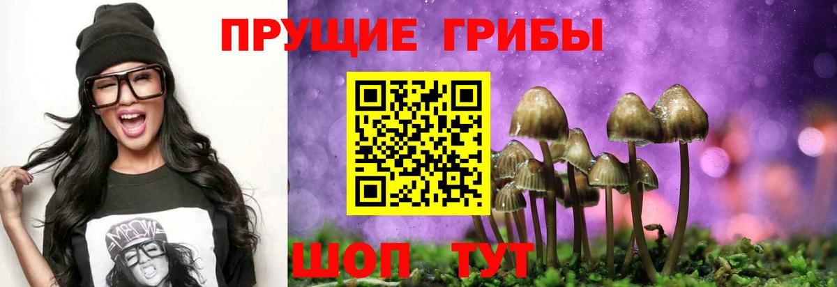Ялта  Галлюциногенные грибы Psilocybe  Вход с VPN 